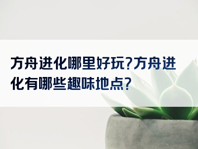 方舟进化哪里好玩？方舟进化有哪些趣味地点？