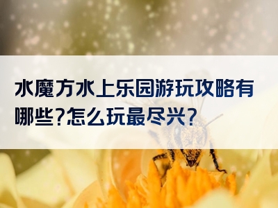 水魔方水上乐园游玩攻略有哪些？怎么玩最尽兴？