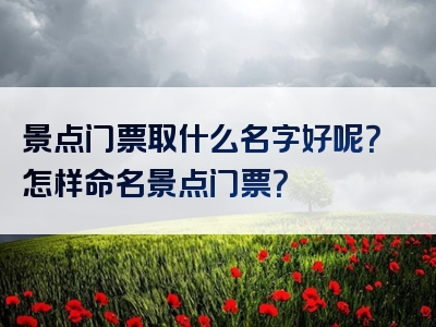 景点门票取什么名字好呢？怎样命名景点门票？