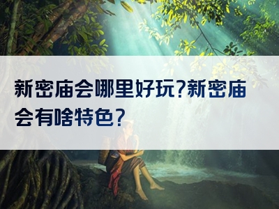 新密庙会哪里好玩？新密庙会有啥特色？