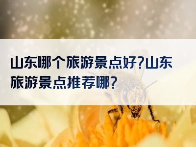 山东哪个旅游景点好？山东旅游景点推荐哪？