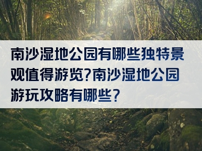 南沙湿地公园有哪些独特景观值得游览？南沙湿地公园游玩攻略有哪些？