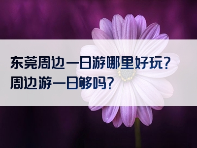 东莞周边一日游哪里好玩？周边游一日够吗？