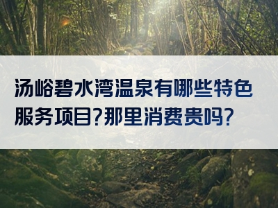 汤峪碧水湾温泉有哪些特色服务项目？那里消费贵吗？