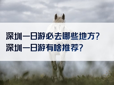 深圳一日游必去哪些地方？深圳一日游有啥推荐？