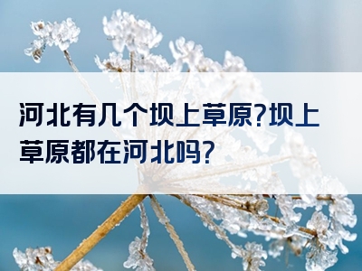 河北有几个坝上草原？坝上草原都在河北吗？