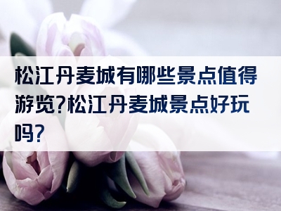 松江丹麦城有哪些景点值得游览？松江丹麦城景点好玩吗？