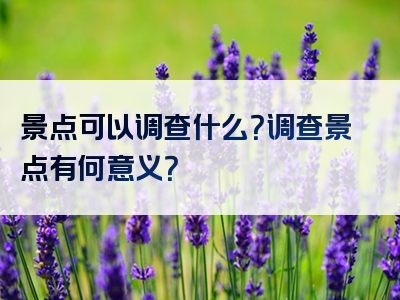 景点可以调查什么？调查景点有何意义？