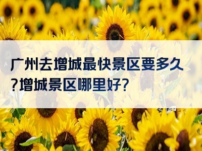 广州去增城最快景区要多久？增城景区哪里好？