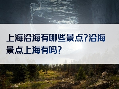 上海沿海有哪些景点？沿海景点上海有吗？