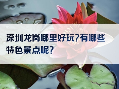 深圳龙岗哪里好玩？有哪些特色景点呢？