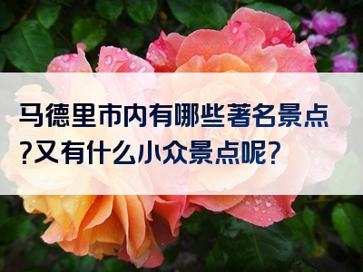 马德里市内有哪些著名景点？又有什么小众景点呢？