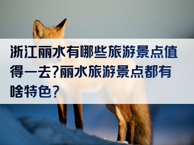 浙江丽水有哪些旅游景点值得一去？丽水旅游景点都有啥特色？