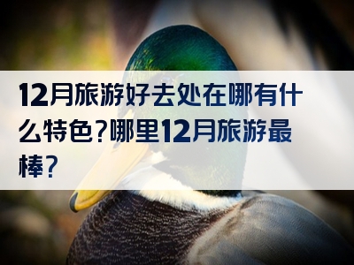 12月旅游好去处在哪有什么特色？哪里12月旅游最棒？