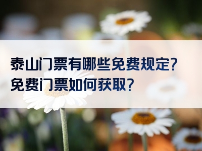 泰山门票有哪些免费规定？免费门票如何获取？