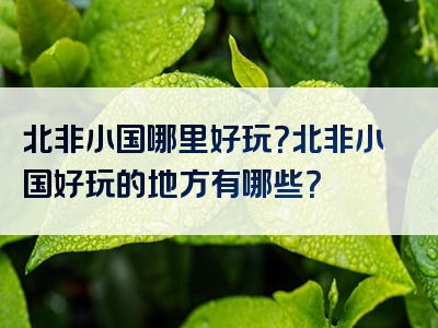 北非小国哪里好玩？北非小国好玩的地方有哪些？