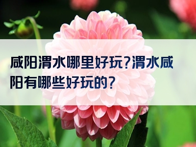 咸阳渭水哪里好玩？渭水咸阳有哪些好玩的？