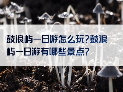 鼓浪屿一日游怎么玩？鼓浪屿一日游有哪些景点？