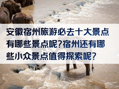 安徽宿州旅游必去十大景点有哪些景点呢？宿州还有哪些小众景点值得探索呢？