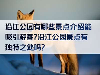 沿江公园有哪些景点介绍能吸引游客？沿江公园景点有独特之处吗？