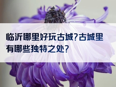 临沂哪里好玩古城？古城里有哪些独特之处？