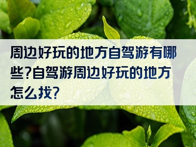 周边好玩的地方自驾游有哪些？自驾游周边好玩的地方怎么找？