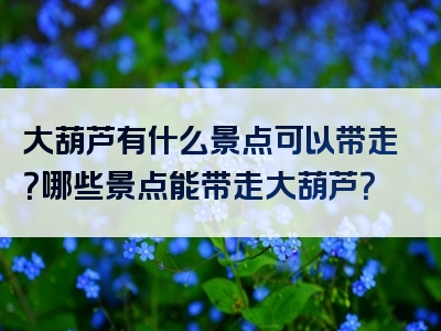 大葫芦有什么景点可以带走？哪些景点能带走大葫芦？