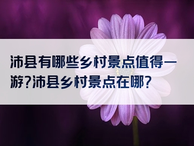 沛县有哪些乡村景点值得一游？沛县乡村景点在哪？