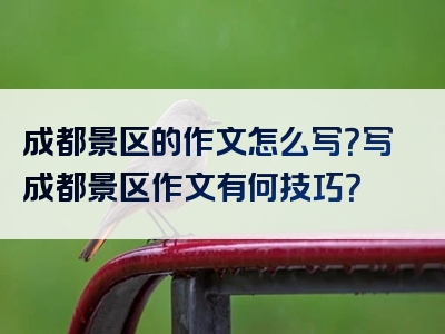 成都景区的作文怎么写？写成都景区作文有何技巧？