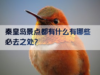 秦皇岛景点都有什么有哪些必去之处？