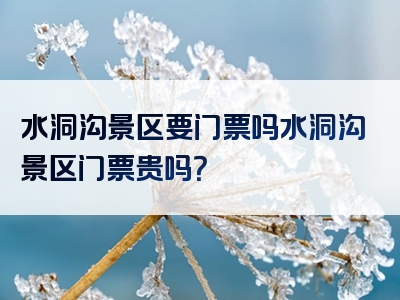 水洞沟景区要门票吗水洞沟景区门票贵吗？