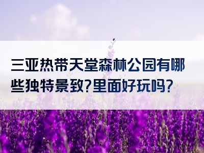 三亚热带天堂森林公园有哪些独特景致？里面好玩吗？