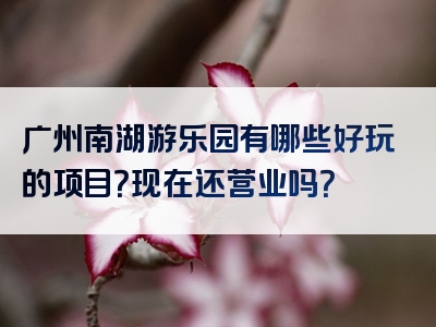 广州南湖游乐园有哪些好玩的项目？现在还营业吗？