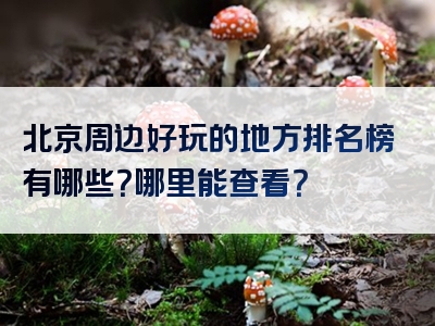 北京周边好玩的地方排名榜有哪些？哪里能查看？