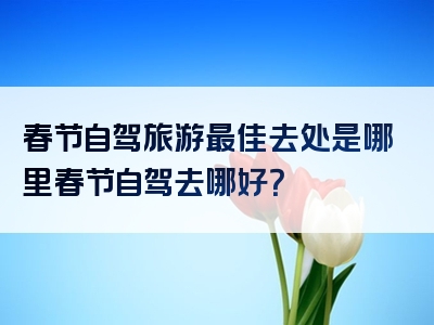春节自驾旅游最佳去处是哪里春节自驾去哪好？