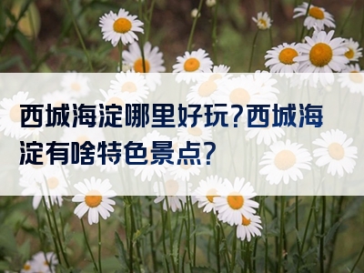 西城海淀哪里好玩？西城海淀有啥特色景点？