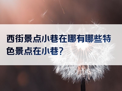 西街景点小巷在哪有哪些特色景点在小巷？