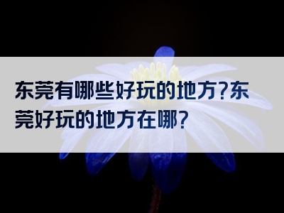 东莞有哪些好玩的地方？东莞好玩的地方在哪？