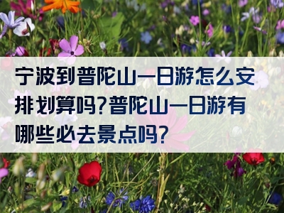 宁波到普陀山一日游怎么安排划算吗？普陀山一日游有哪些必去景点吗？