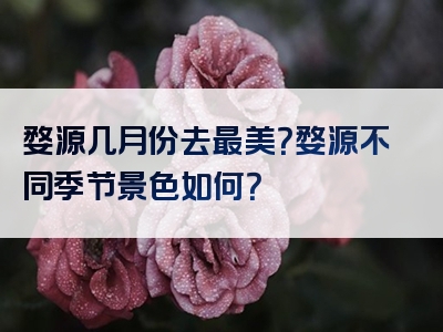 婺源几月份去最美？婺源不同季节景色如何？