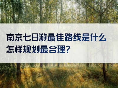 南京七日游最佳路线是什么怎样规划最合理？