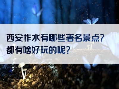 西安柞水有哪些著名景点？都有啥好玩的呢？