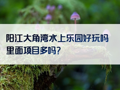 阳江大角湾水上乐园好玩吗里面项目多吗？