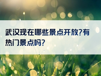 武汉现在哪些景点开放？有热门景点吗？