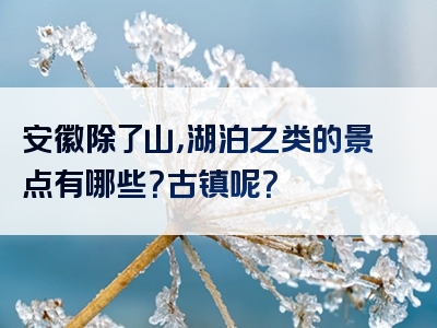 安徽除了山，湖泊之类的景点有哪些？古镇呢？