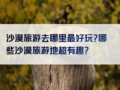 沙漠旅游去哪里最好玩？哪些沙漠旅游地超有趣？