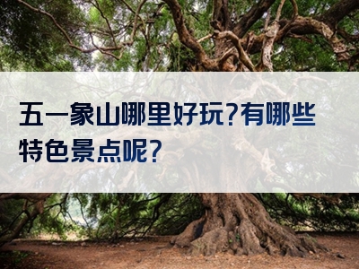 五一象山哪里好玩？有哪些特色景点呢？