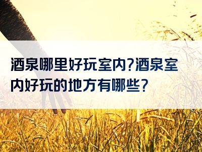 酒泉哪里好玩室内？酒泉室内好玩的地方有哪些？