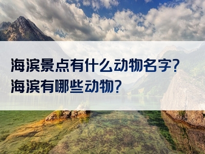 海滨景点有什么动物名字？海滨有哪些动物？