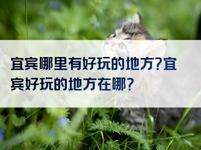 宜宾哪里有好玩的地方？宜宾好玩的地方在哪？